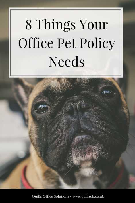 Should You Allow Dogs In The Office? The Pros and Cons - Quills UK